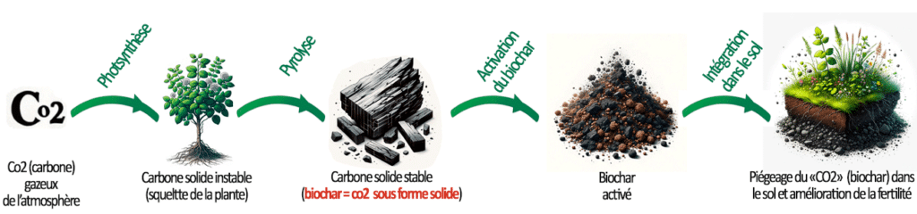 Schéma montrant les 4 grandes étapes de la production du biochar : Photosynthèse, pyrolyse, activation du biochar, intégration dans le sol